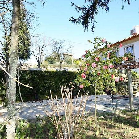 Quinta De Vila Verde- Paixao Ancestral, Turismo Rural Marco de Canavezes Zewnętrze zdjęcie